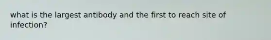 what is the largest antibody and the first to reach site of infection?