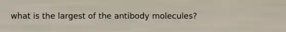 what is the largest of the antibody molecules?