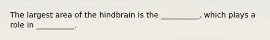 The largest area of the hindbrain is the __________, which plays a role in __________.