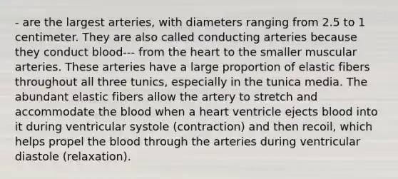 - are the largest arteries, with diameters ranging from 2.5 to 1 centimeter. They are also called conducting arteries because they conduct blood--- from the heart to the smaller muscular arteries. These arteries have a large proportion of elastic fibers throughout all three tunics, especially in the tunica media. The abundant elastic fibers allow the artery to stretch and accommodate the blood when a heart ventricle ejects blood into it during ventricular systole (contraction) and then recoil, which helps propel the blood through the arteries during ventricular diastole (relaxation).