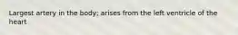 Largest artery in the body; arises from the left ventricle of the heart