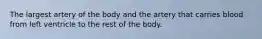 The largest artery of the body and the artery that carries blood from left ventricle to the rest of the body.