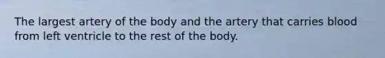 The largest artery of the body and the artery that carries blood from left ventricle to the rest of the body.