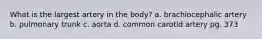 What is the largest artery in the body? a. brachiocephalic artery b. pulmonary trunk c. aorta d. common carotid artery pg. 373