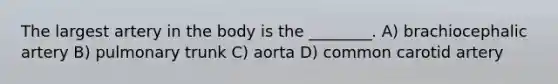 The largest artery in the body is the ________. A) brachiocephalic artery B) pulmonary trunk C) aorta D) common carotid artery