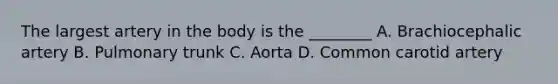 The largest artery in the body is the ________ A. Brachiocephalic artery B. Pulmonary trunk C. Aorta D. Common carotid artery