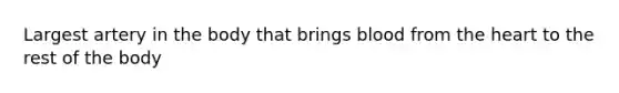 Largest artery in the body that brings blood from the heart to the rest of the body