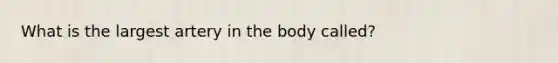 What is the largest artery in the body called?