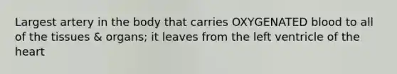 Largest artery in the body that carries OXYGENATED blood to all of the tissues & organs; it leaves from the left ventricle of the heart