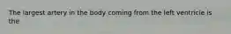 The largest artery in the body coming from the left ventricle is the​