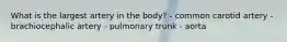 What is the largest artery in the body? - common carotid artery - brachiocephalic artery - pulmonary trunk - aorta