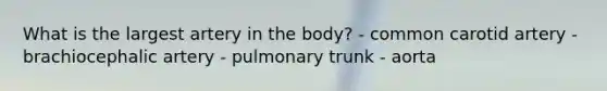 What is the largest artery in the body? - common carotid artery - brachiocephalic artery - pulmonary trunk - aorta