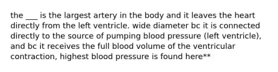 the ___ is the largest artery in the body and it leaves the heart directly from the left ventricle. wide diameter bc it is connected directly to the source of pumping blood pressure (left ventricle), and bc it receives the full blood volume of the ventricular contraction, highest blood pressure is found here**