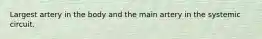 Largest artery in the body and the main artery in the systemic circuit.