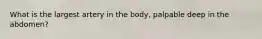 What is the largest artery in the body, palpable deep in the abdomen?