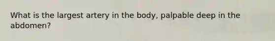 What is the largest artery in the body, palpable deep in the abdomen?