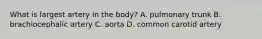 What is largest artery in the body? A. pulmonary trunk B. brachiocephalic artery C. aorta D. common carotid artery