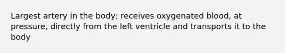 Largest artery in the body; receives oxygenated blood, at pressure, directly from the left ventricle and transports it to the body