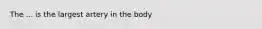 The ... is the largest artery in the body