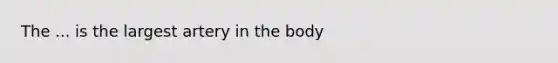 The ... is the largest artery in the body