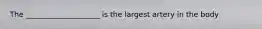 The ____________________ is the largest artery in the body