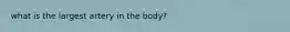 what is the largest artery in the body?