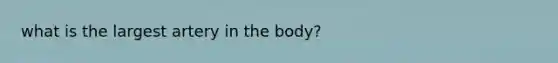 what is the largest artery in the body?