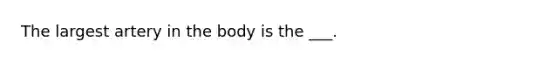 The largest artery in the body is the ___.