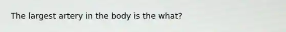 The largest artery in the body is the what?