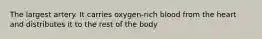 The largest artery. It carries oxygen-rich blood from the heart and distributes it to the rest of the body