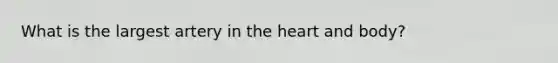 What is the largest artery in the heart and body?