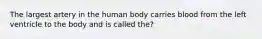 The largest artery in the human body carries blood from the left ventricle to the body and is called the?