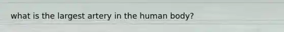 what is the largest artery in the human body?