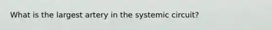 What is the largest artery in the systemic circuit?