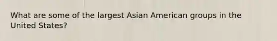 What are some of the largest Asian American groups in the United States?