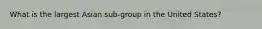 What is the largest Asian sub-group in the United States?