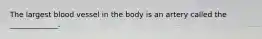 The largest blood vessel in the body is an artery called the _____________.​