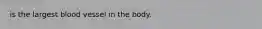 is the largest blood vessel in the body.