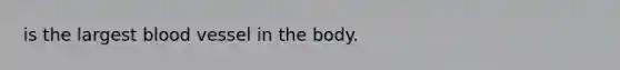 is the largest blood vessel in the body.