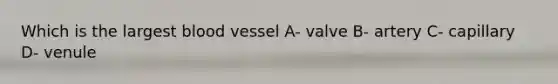 Which is the largest blood vessel A- valve B- artery C- capillary D- venule