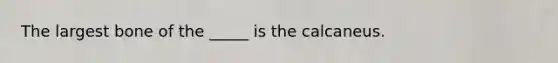 The largest bone of the _____ is the calcaneus.