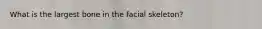 What is the largest bone in the facial skeleton?