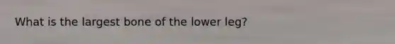 What is the largest bone of the lower leg?