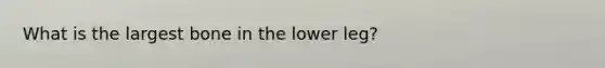 What is the largest bone in the lower leg?