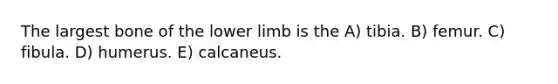 The largest bone of the <a href='https://www.questionai.com/knowledge/kF4ILRdZqC-lower-limb' class='anchor-knowledge'>lower limb</a> is the A) tibia. B) femur. C) fibula. D) humerus. E) calcaneus.