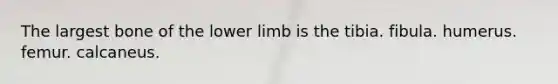 The largest bone of the lower limb is the tibia. fibula. humerus. femur. calcaneus.