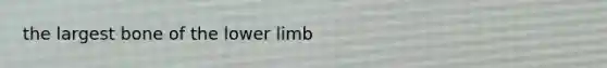 the largest bone of the <a href='https://www.questionai.com/knowledge/kF4ILRdZqC-lower-limb' class='anchor-knowledge'>lower limb</a>