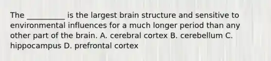 The __________ is the largest brain structure and sensitive to environmental influences for a much longer period than any other part of the brain. A. cerebral cortex B. cerebellum C. hippocampus D. prefrontal cortex