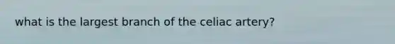 what is the largest branch of the celiac artery?