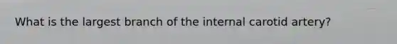 What is the largest branch of the internal carotid artery?